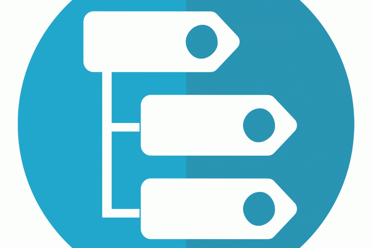 WordPress custom taxonomies - CyberSEO Pro