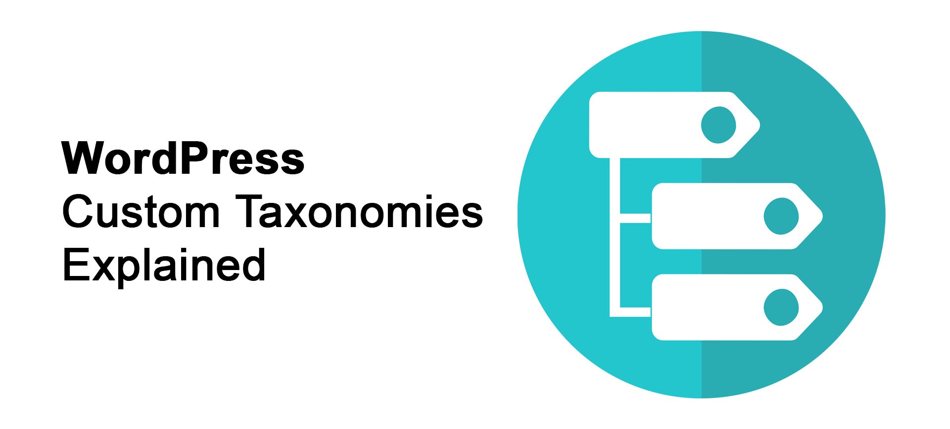 WordPress custom taxonomies