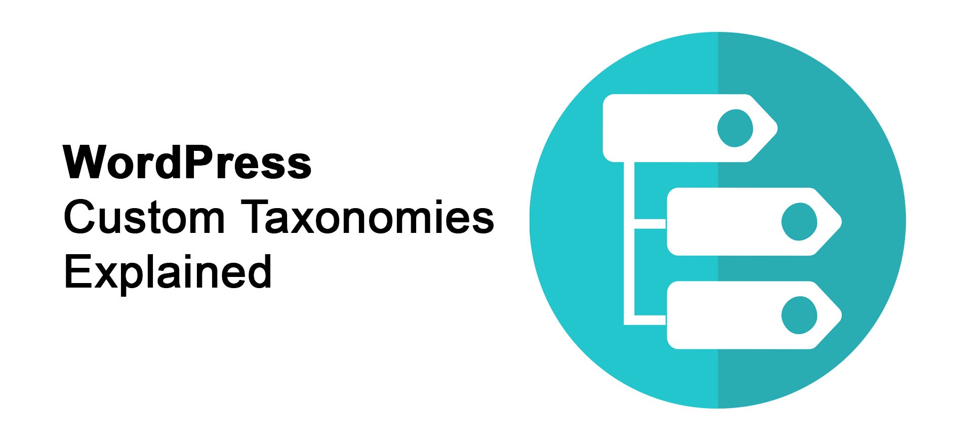 WordPress custom taxonomies – CyberSEO Pro