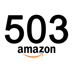 Amazon 503 error - CyberSEO Pro
